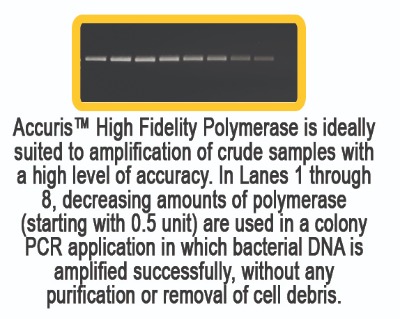 Accuris™ High Fidelity PCR