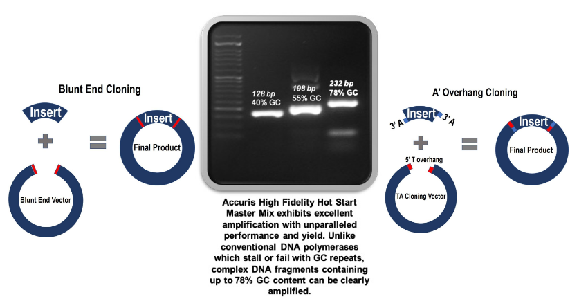 Accuris™ High Fidelity PCR