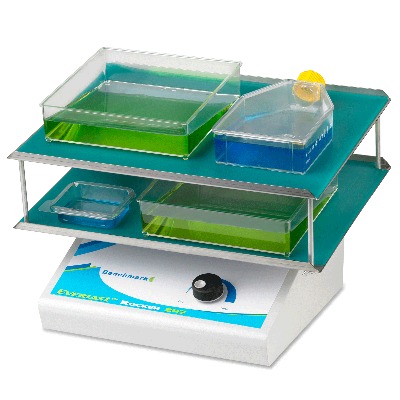 Máy lắc EVERLAST ROCKER, Model: BR5000E Benchmark