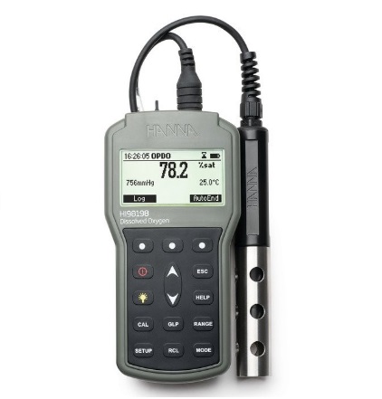MÁY ĐO OXY HÒA TAN CẦM TAY HI98198