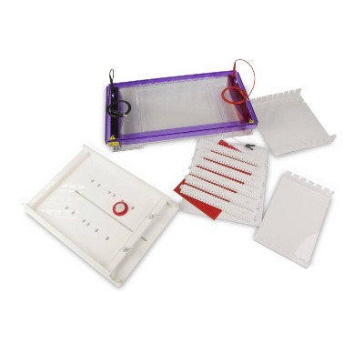 Bộ điện di ngang MultiSUB Screen