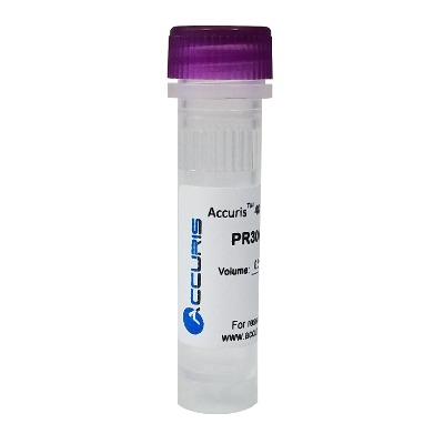 Accuris dNTPs, Model: PR3040