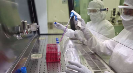 Tủ an toàn sinh học cấp II loại B2 model: SafeFAST Elite 209 Class II B2 Faster S.R.L