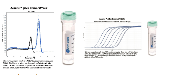qMAX ™ Green qPCR Mix
