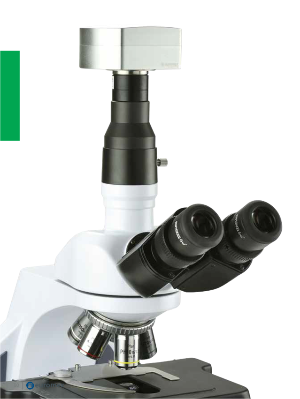 Camera cho kính hiển vi dòng sCMEX USB-3 và CCD cooled color