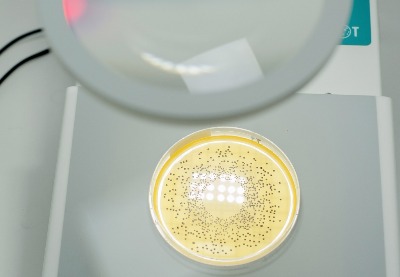 Máy đếm khuẩn lạc Model: DOT