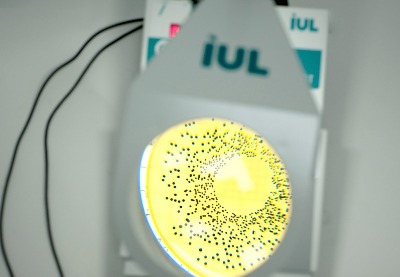 Máy đếm khuẩn lạc Model: DOT