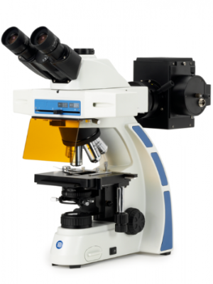 KÍNH HIỂN VI HUỲNH QUANG dòng Oxion Fluorescence
