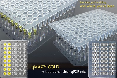 Accuris qMAX Gold, qPCR Mix