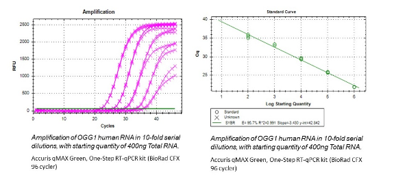 Accuris qMAX One-Step RT-qPCR kits