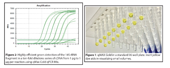 Accuris qMAX Gold, qPCR Mix