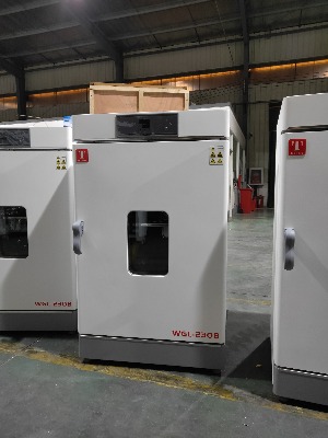 TỦ SẤY 300 ĐỘ 230 LÍT, Model: WGL-230B Taisite