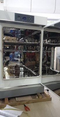 Tủ Sấy Taisite 230 Lít, WGLL-230BE